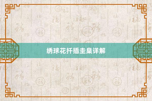 绣球花扦插圭臬详解