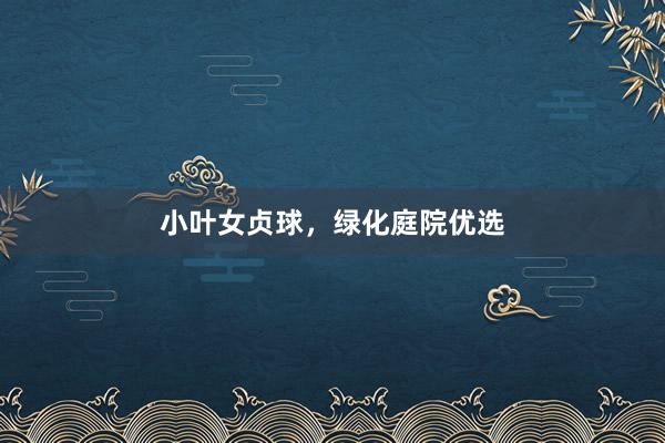 小叶女贞球，绿化庭院优选