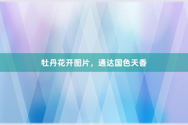 牡丹花开图片，通达国色天香