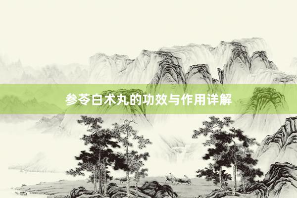 参苓白术丸的功效与作用详解